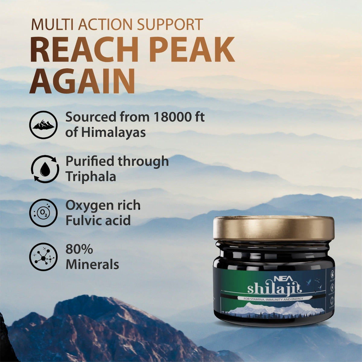 Nea Pure Shilajit (15 Gram) A Natural Way to Boost Your Energy, Improve Your Immunity, and Promote Overall Health 15Gm