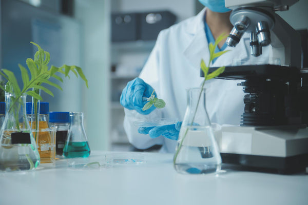 Trusted Extraction & Safe Quality
