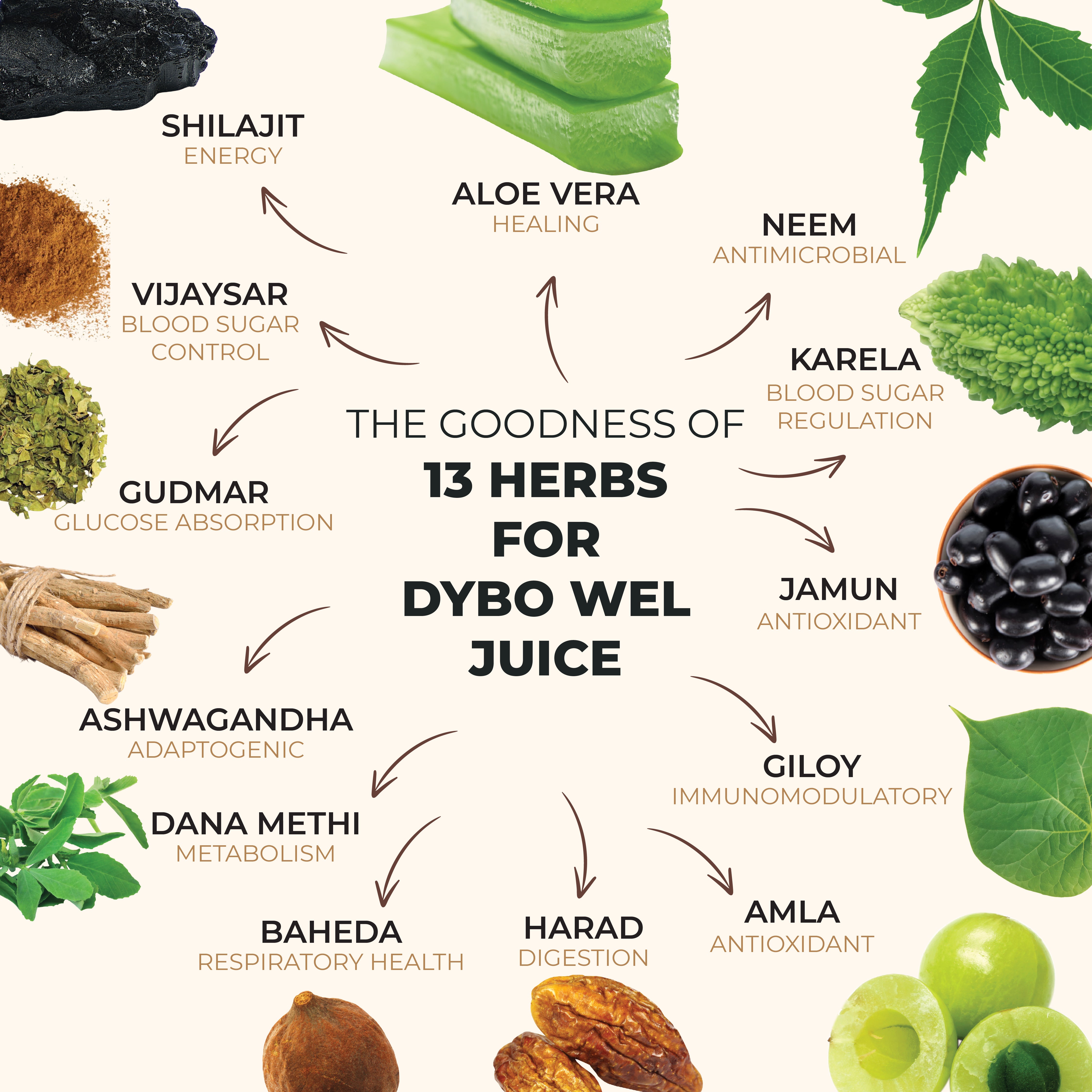 Nea Dybo Wel Ayurvedic Juice | Control Blood Sugar | Karela Jamun, Amla + 11 Herbs