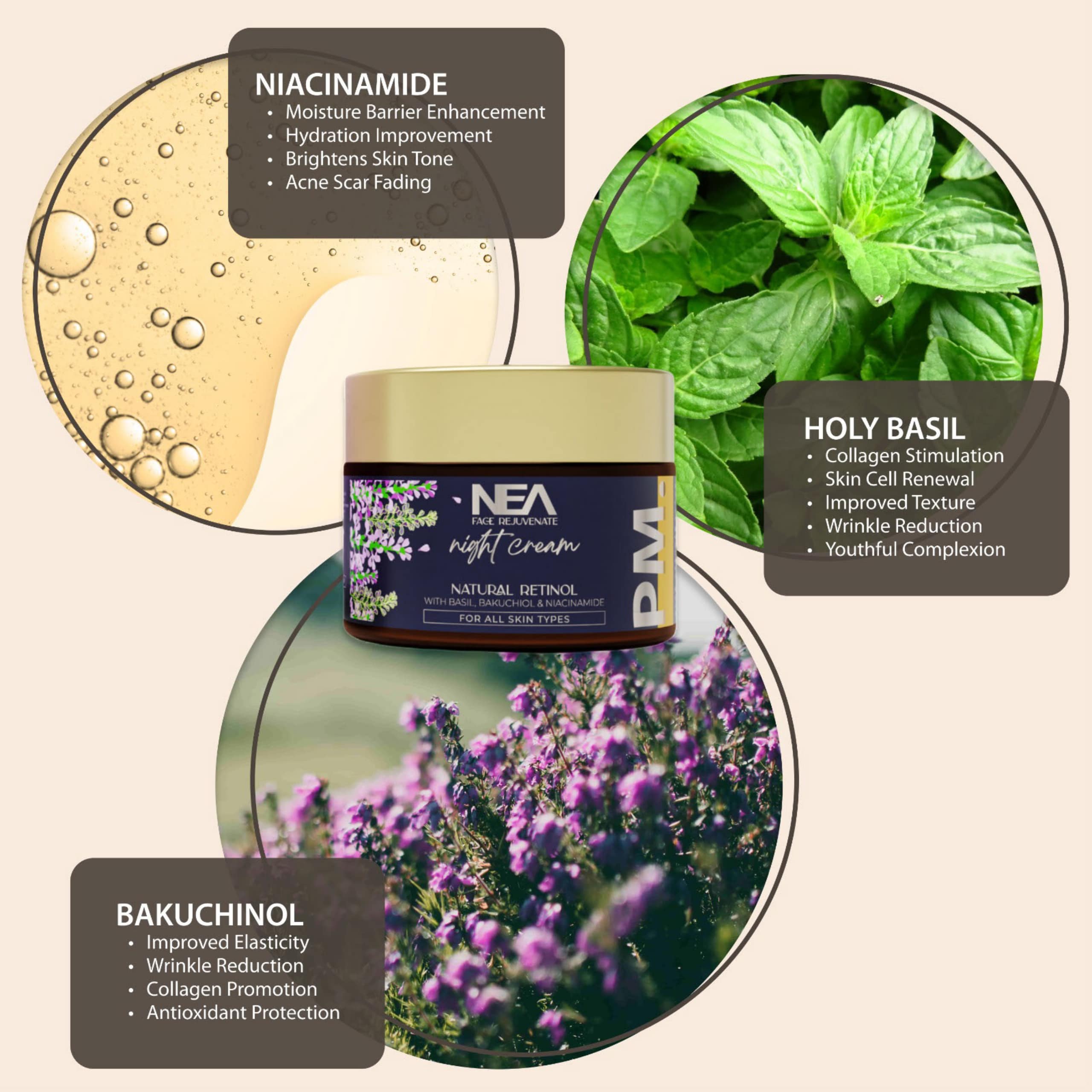 NEA Face Rejuvenate Night Cream: Natural Retinol, Bakuchiol, Niacinamide, and Ayurvedic Basil | Experience Youthful Radiance | 50 Grams