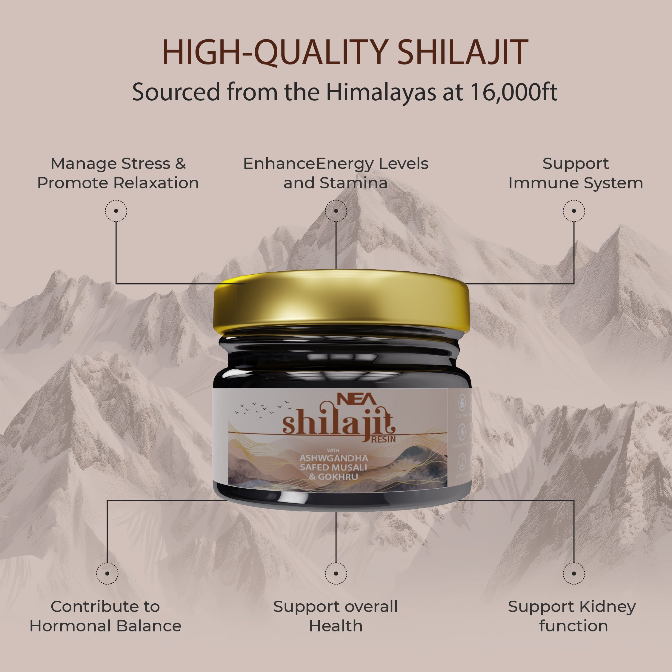 NEA Shilajit with Ashwagandha, Gokhru, Safed Musli with 80% Fulvic (15 gms)