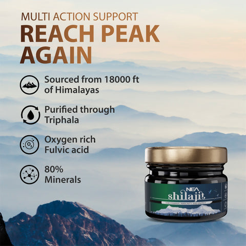 Nea Pure Shilajit: A Natural Way to Boost Your Energy, Improve Your Immunity, and Promote Overall Health 15Gm