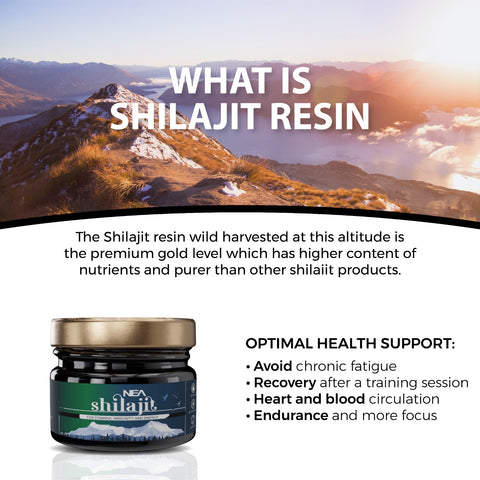 Nea Pure Shilajit: A Natural Way to Boost Your Energy, Improve Your Immunity, and Promote Overall Health 15Gm