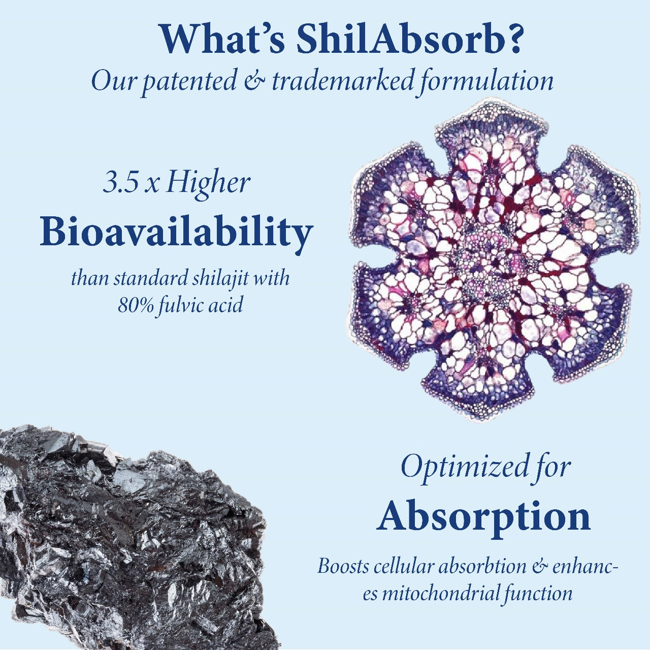 شیلاجیت گمیز - شیلاجیت، بلیک مصلی، اور گوکشورا کے ساتھ پاور پیکڈ وائٹلٹی بوسٹر