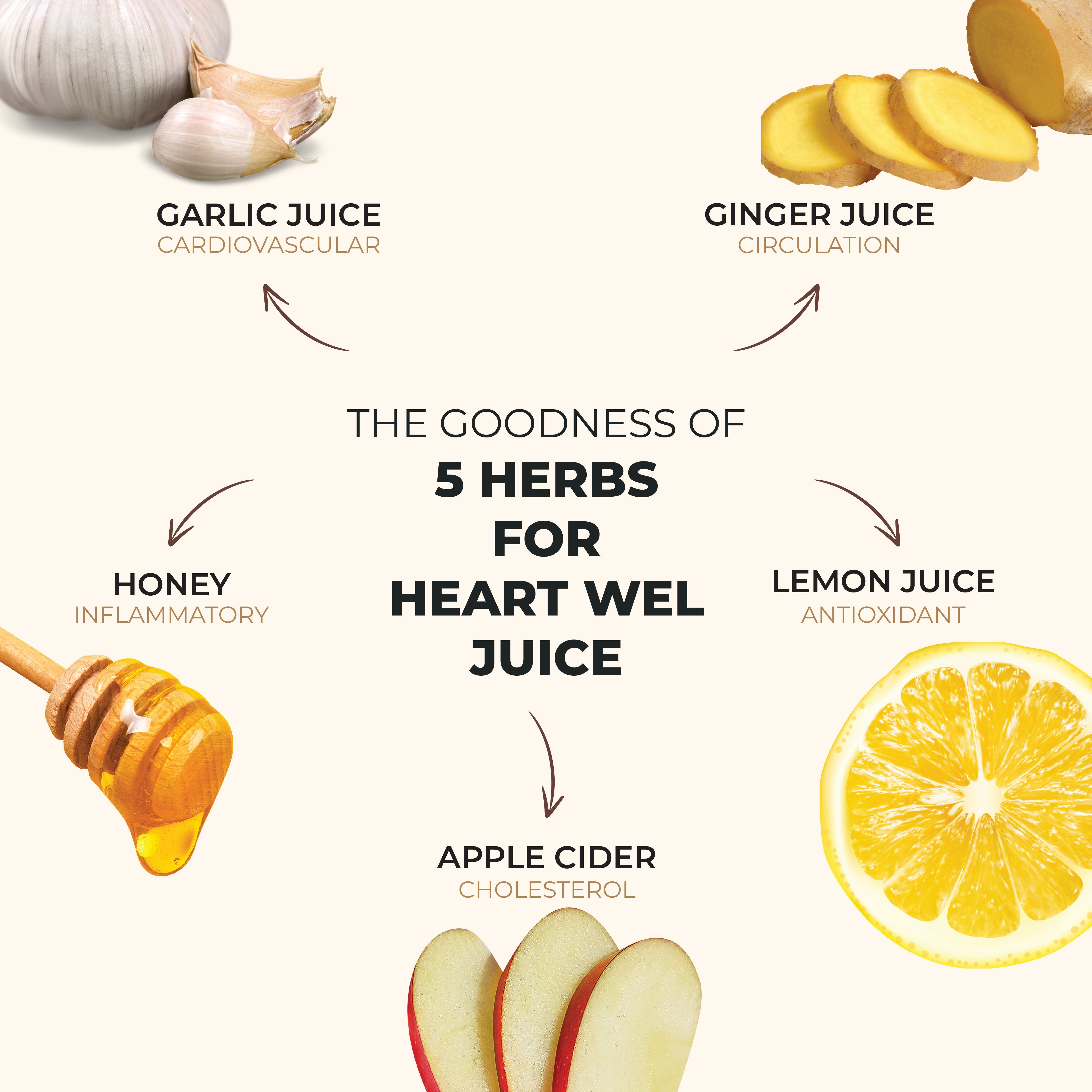 نی ہارٹ ویل آیورویدک جوس | کولیسٹرول کی دیکھ بھال | بی پی کنٹرول | ایپل سائڈر اور مزید