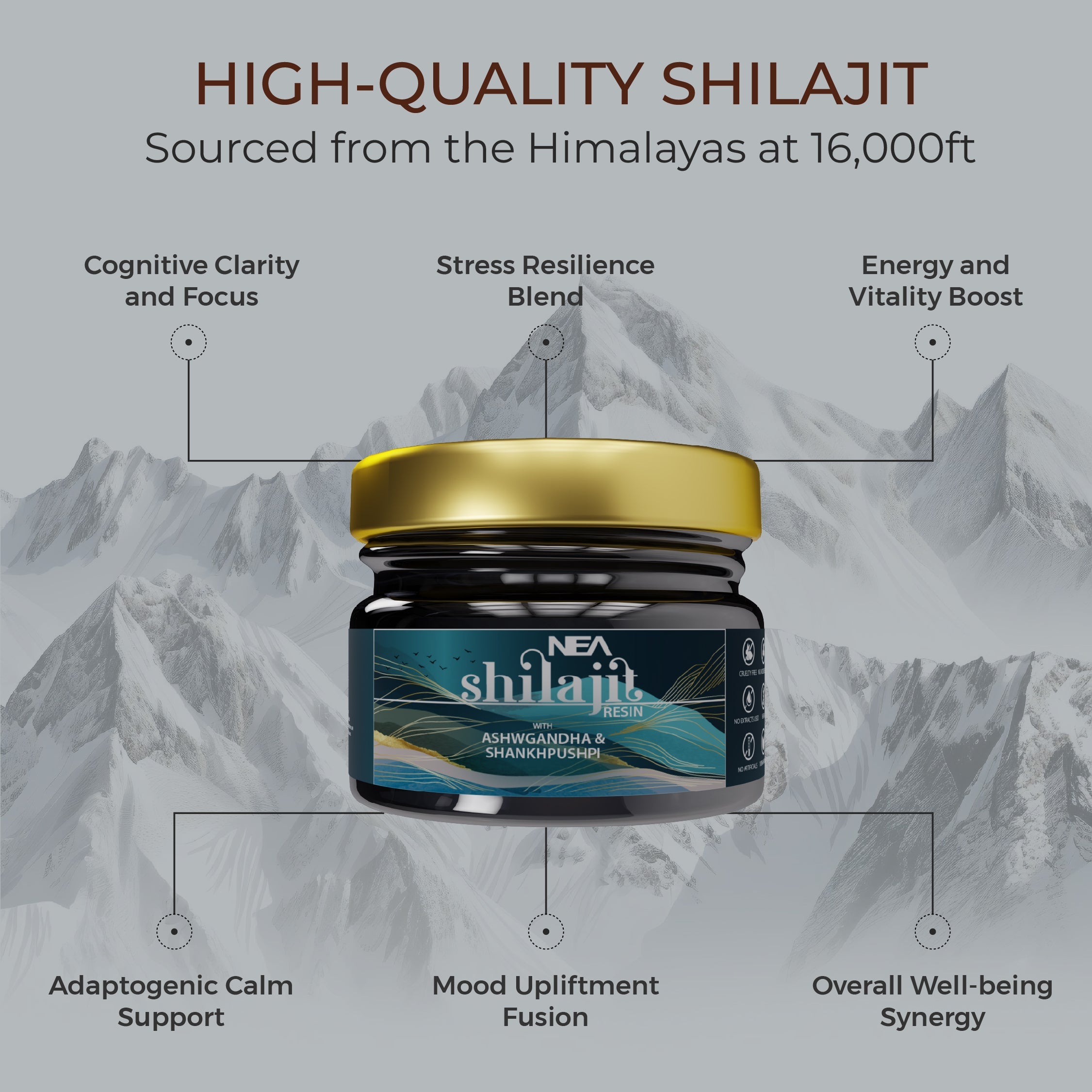 این ای اے شیلاجیت کے ساتھ اشوگندھا اور شنکھ پُشپی (15 گرام) 80% فلوِک کے ساتھ 5X زیادہ موثر