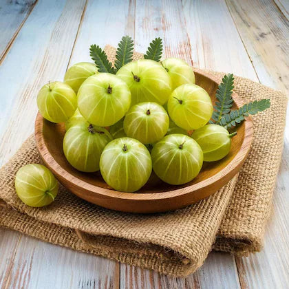 Amla (Indian Gooseberry)