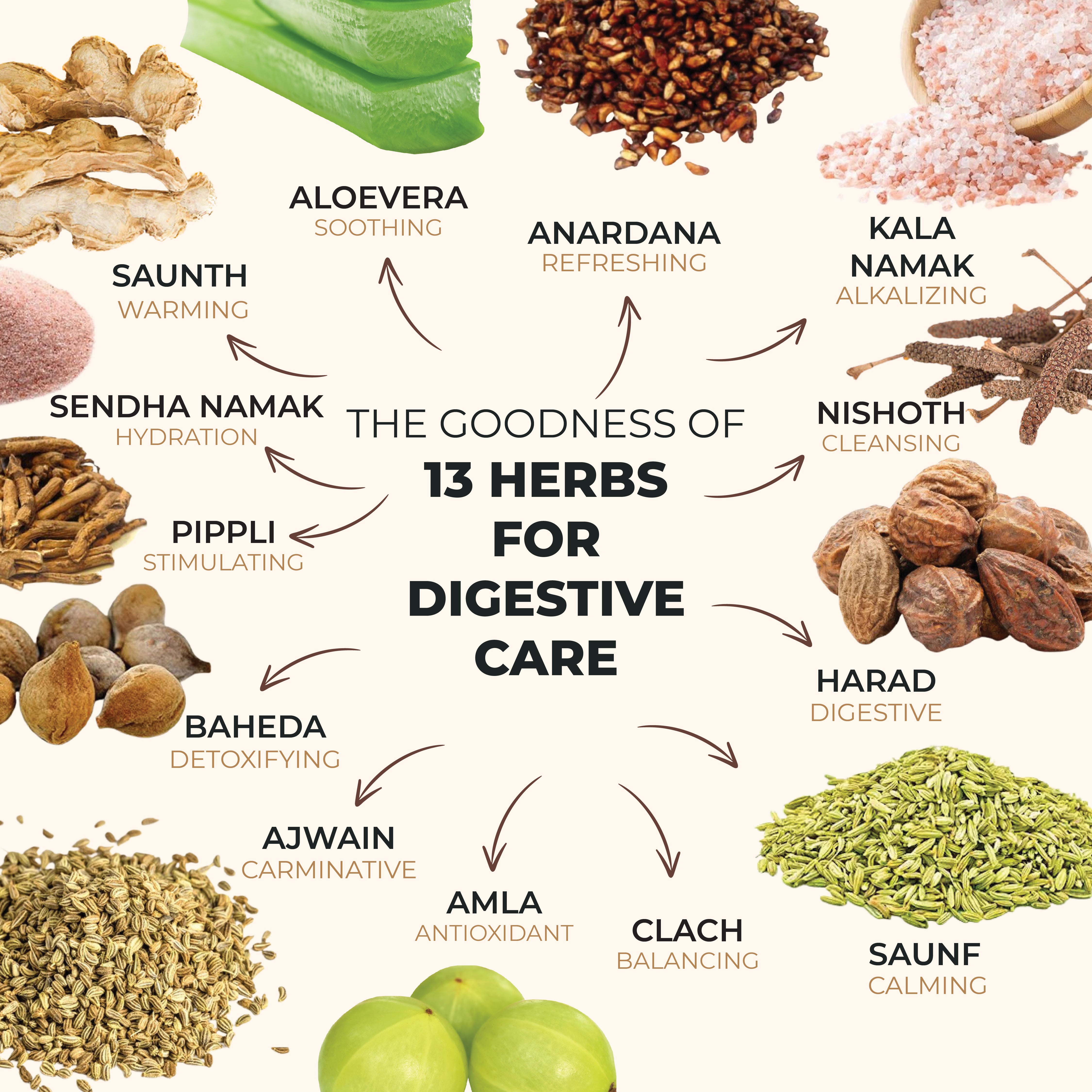 Nea Digestive Care Juice | 13 Ayurvedic Herbs | Gut Health | Relieves Bloating